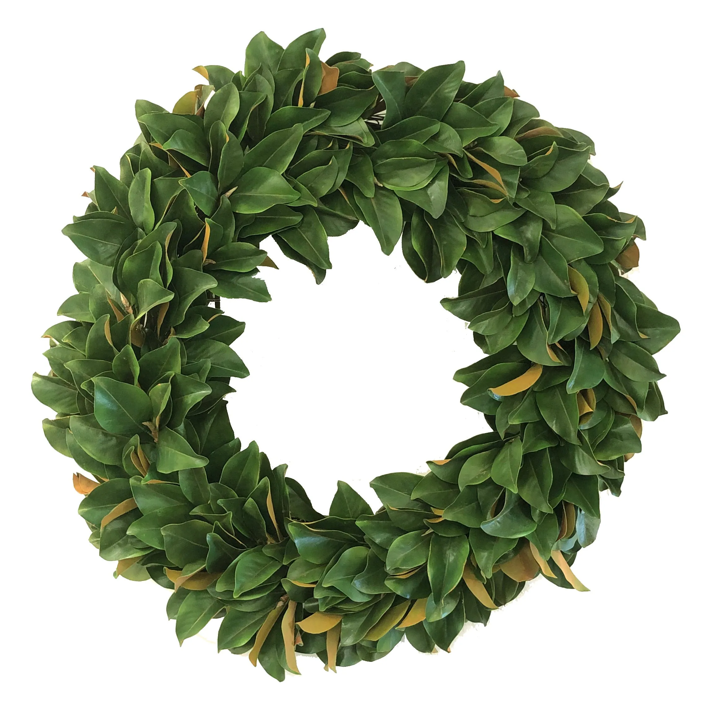 Magnolia Leaf Wreath 36"