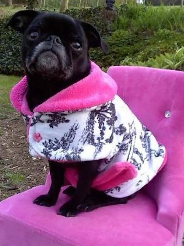 Pinky