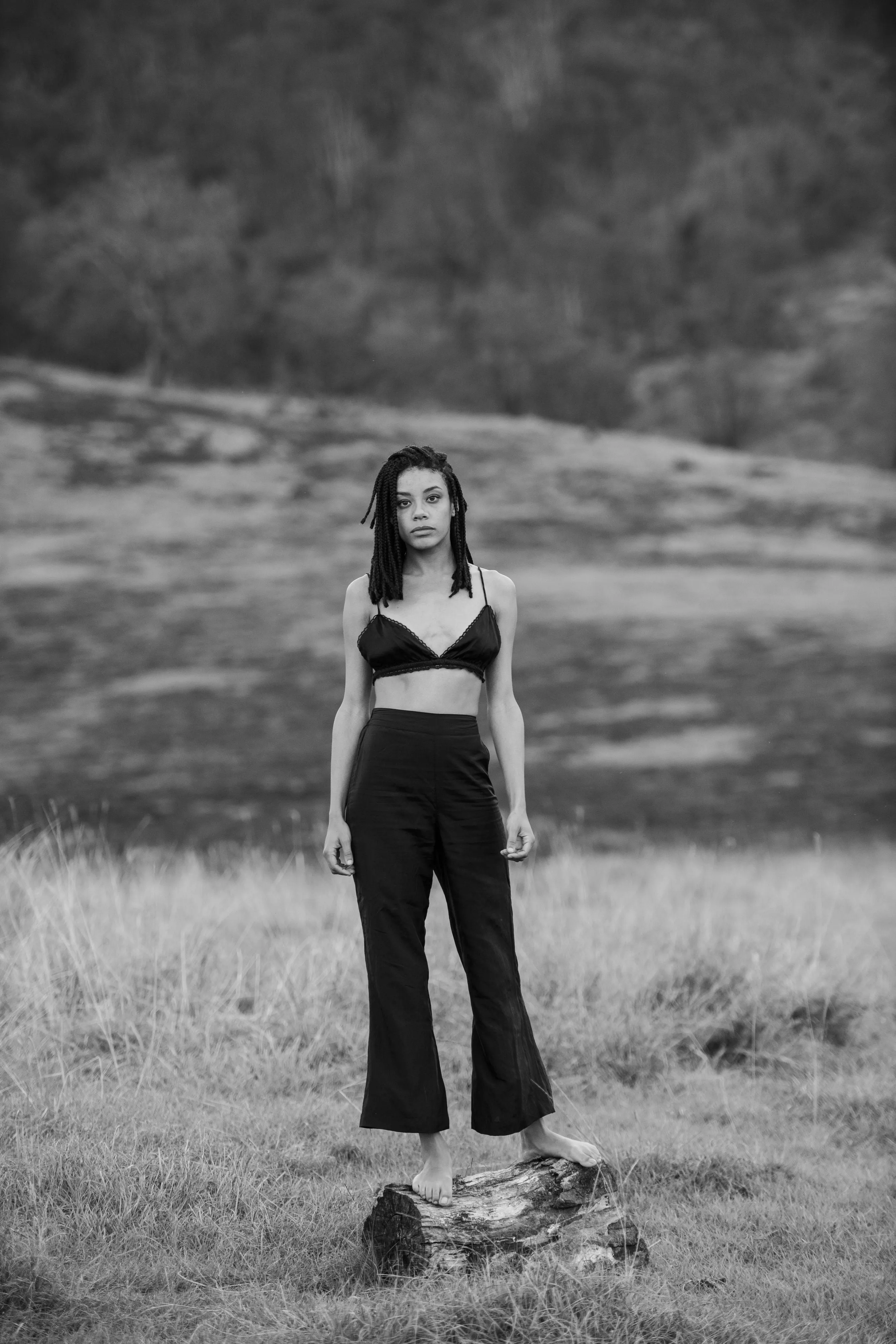 Riley High Waisted Flared Pants