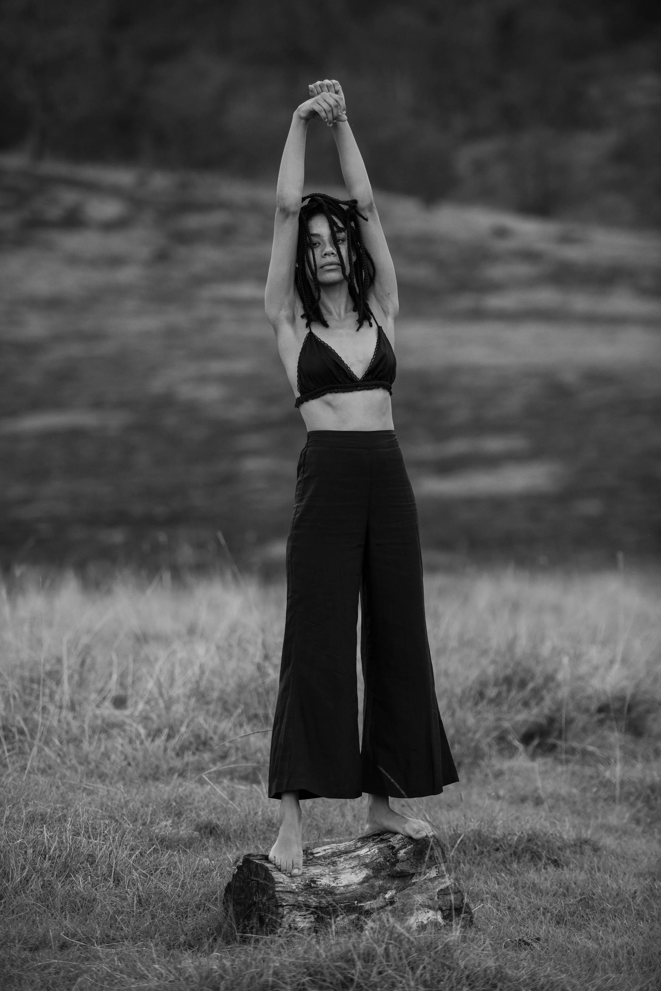 Riley High Waisted Flared Pants