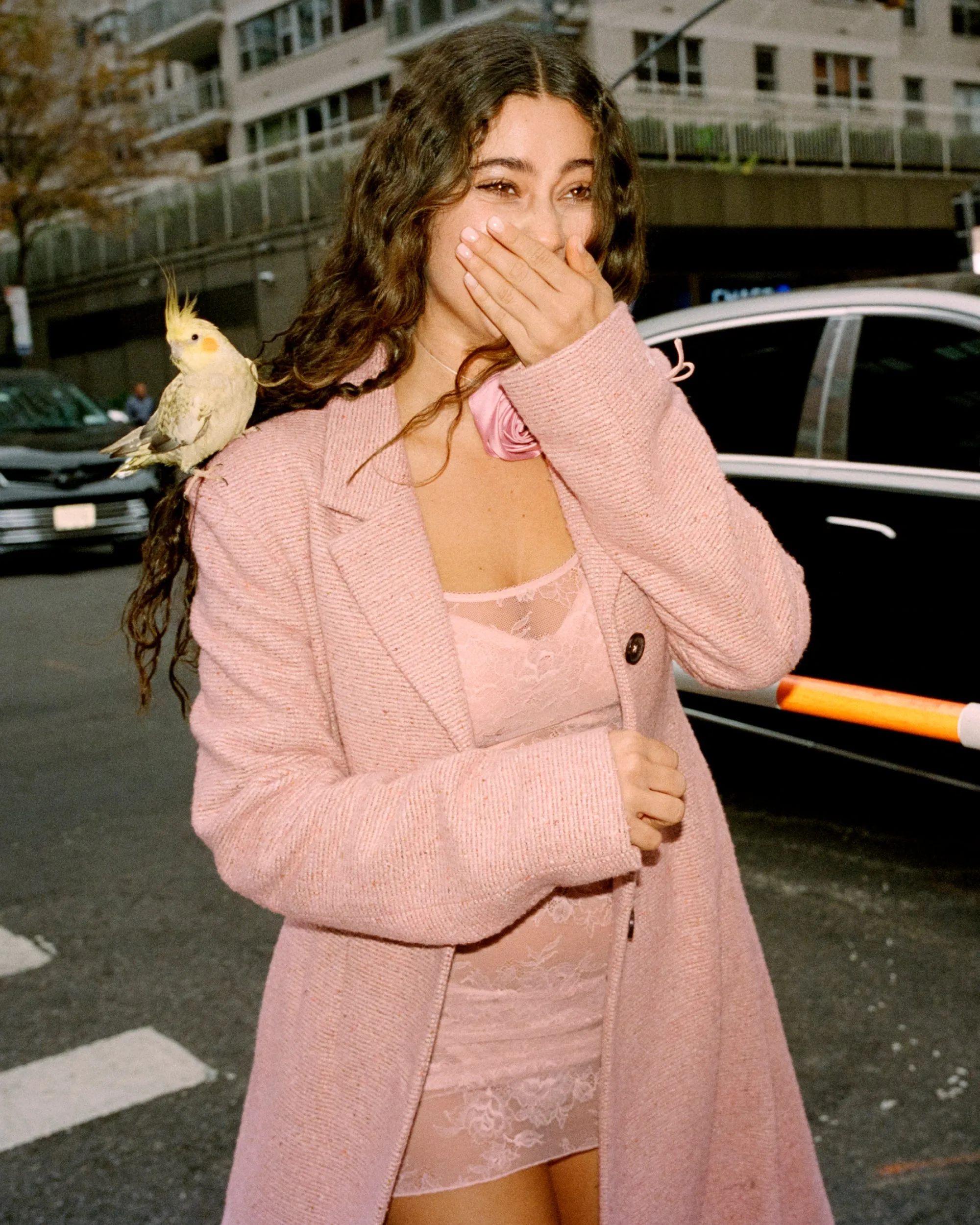 That Lace Slip Dress | That Lace (Blushing Rose)
