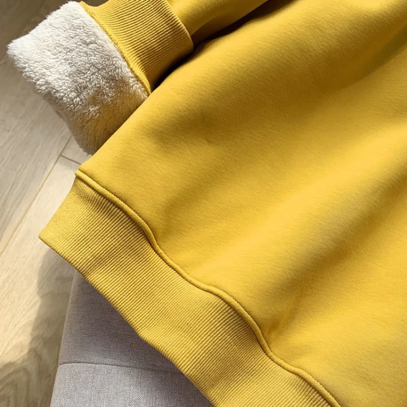 Winter Thick Women Sweatshirt Warm Fashion Simple O Neck Casual Pullover Top Loose Furry Lining Pullover Student Sweatshirt