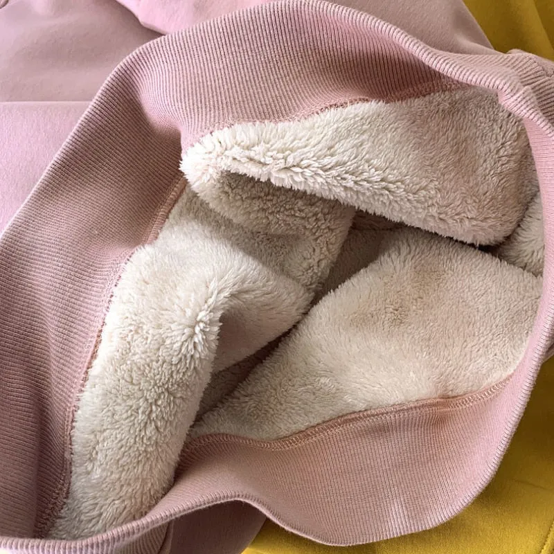 Winter Thick Women Sweatshirt Warm Fashion Simple O Neck Casual Pullover Top Loose Furry Lining Pullover Student Sweatshirt